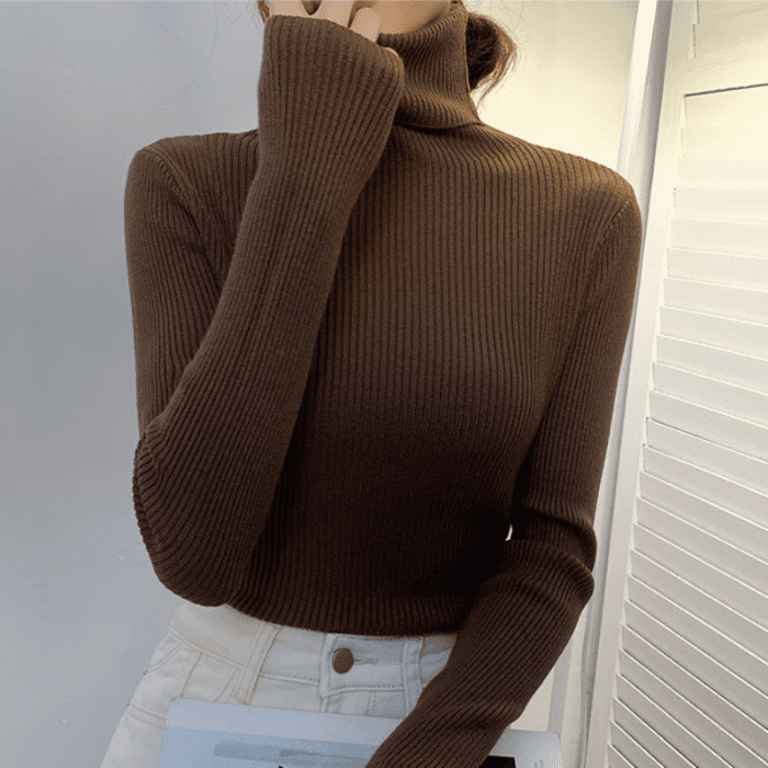 Suéter Tricô feminino Marrom